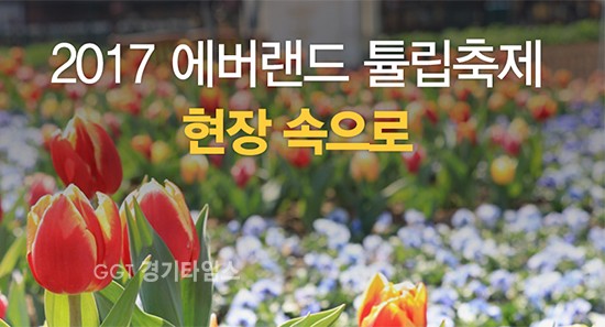 에버랜드 튤립 축제ⓒ경기타임스