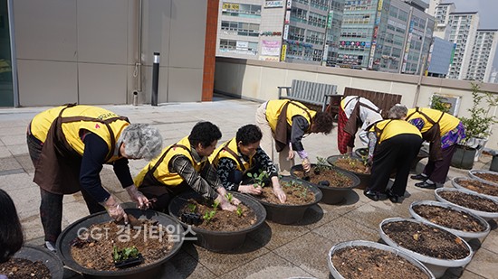화성시주민건강지원센터, 어르신 치매예방 위해 텃밭ⓒ경기타임스