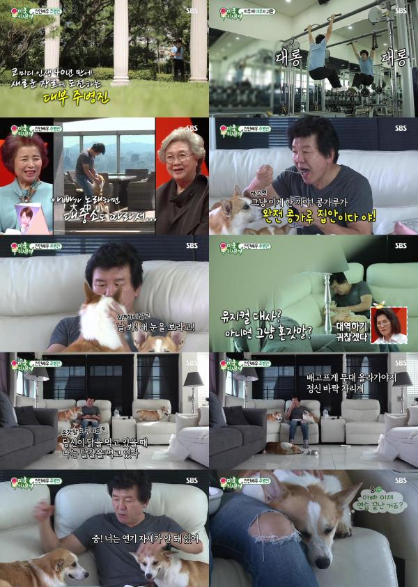 ▲ "SBS 미운우리새끼" ‘미운우리새끼’ 대부 주병진, 반려견 대중소와 대사 연습에 20.1 최고의...