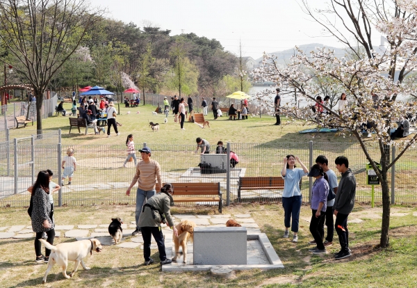 기흥호수공원 반려견 놀이터 기흥호수공원 반려견 놀이터