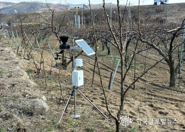 안성시, 과수병해충 ICT 종합정보시스템 구축