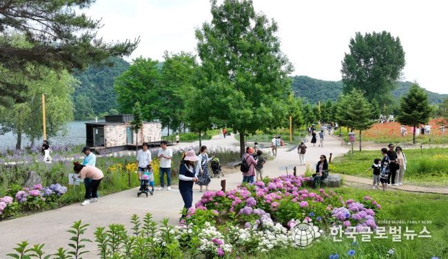 가평군, 자라섬 꽃 페스타 관람객 11만 달성 기념 무료 개방