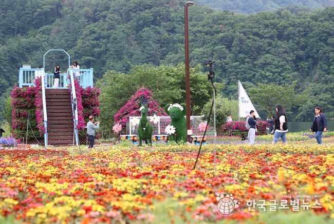 화려한 꽃들의 유혹… 가평 ‘자라섬 꽃 페스타’ 개막