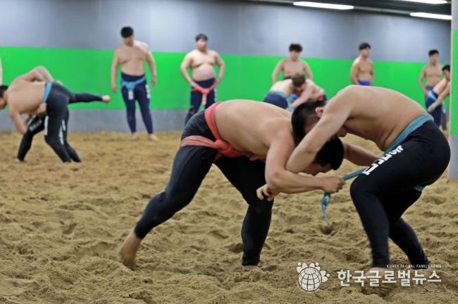 씨름전지훈련