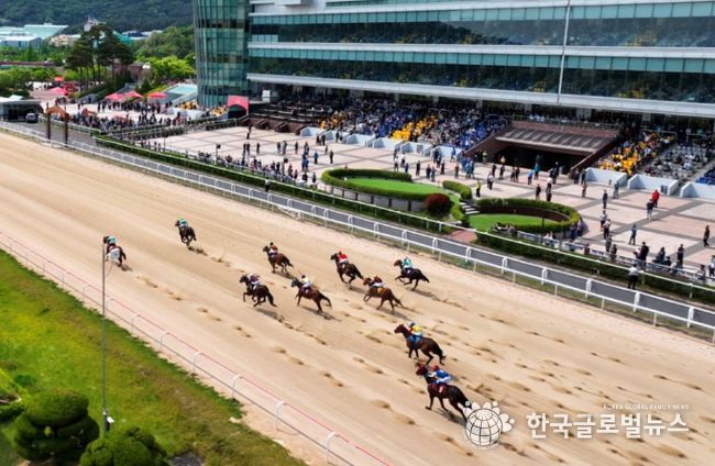 제18회 경상남도지사배 대상경주