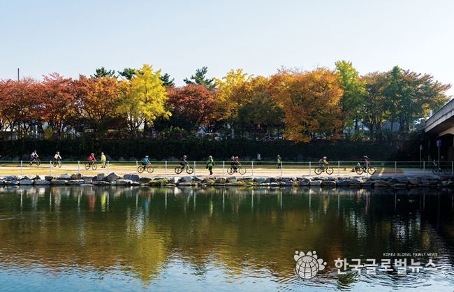 단풍과 함께 달리는 대구 힐링 라이딩 코스 7선!