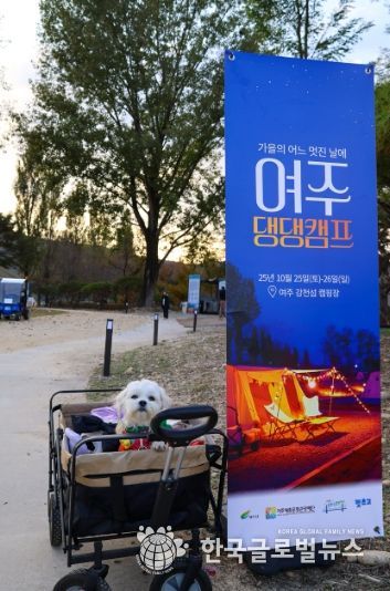 여주세종문화관광재단, 반려동물과 함께하는 1박 2일 ‘댕댕캠프’ 운영