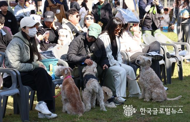 여러 종의 애견들이 주인들과 함께 휴식을 취하고 있다.