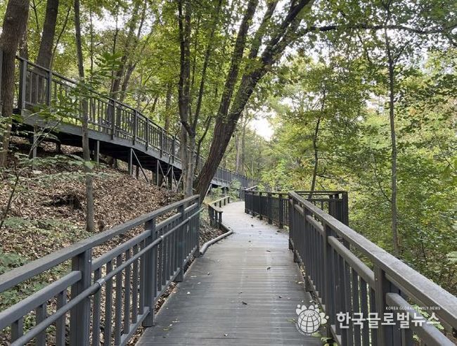 추동숲정원 데크길