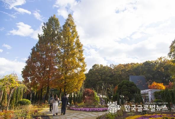 무릉도원수목원