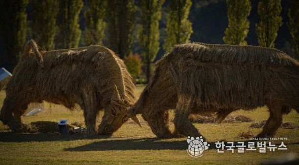 짚 황소 머리를 맞대고 싸우는 소를 짚을 활용하여 역동적으로 표현(사진제공=아름다운강천 사회적협동조합)