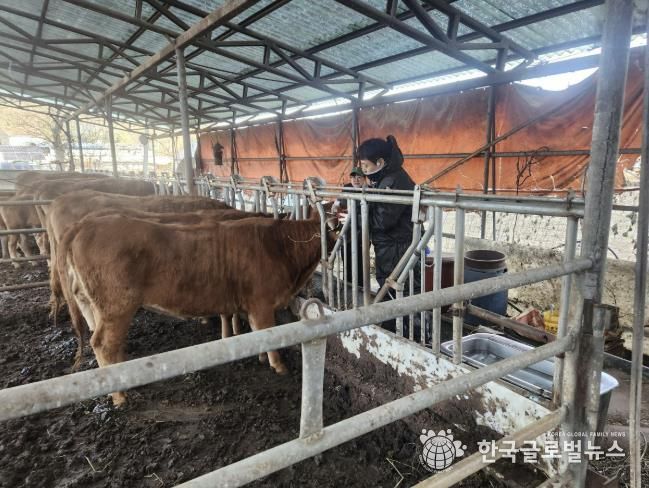 가평군 동물의료지원단, 농가 큰 호응… '진료 확대'