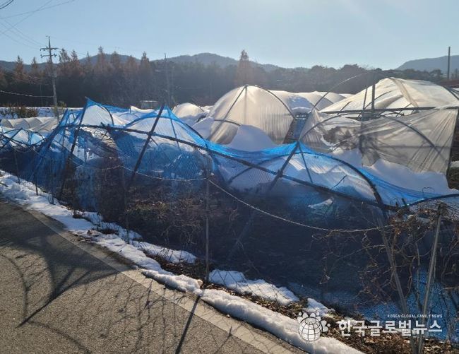 안성시, 올겨울 대설 대비, 차광·방조망 정리로 피해 예방하세요