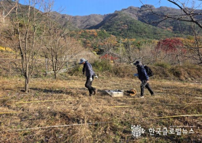 김천 갈항사지 GPR탐사 시범조사 모습 (2025년 11월)