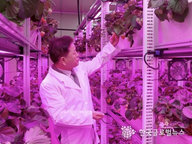 박승원 광명시장이 지난 11월 22일 광명동굴 근처 옛 업사이클아트센터에서 열린 ‘광명동굴 딸기 스마트팜’ 개소식에 참석해 스마트팜 재배시설을 둘러보고 있다.