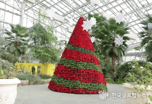 일월수목원 내 전시 온실 ‘겨울, 정원으로의 초대’