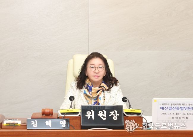 김혜영 예산결산특별위원장