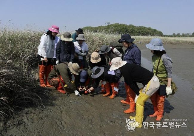 화성시생태관광사회적협동조합_활동사진