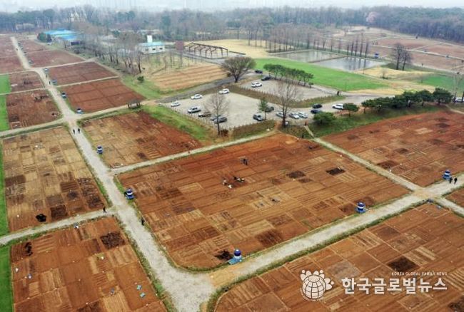 탑동 시민농장 텃밭