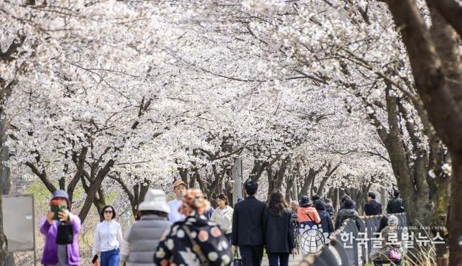 양평군, 제9회 갈산누리봄 축제 체험·마켓 부스 모집