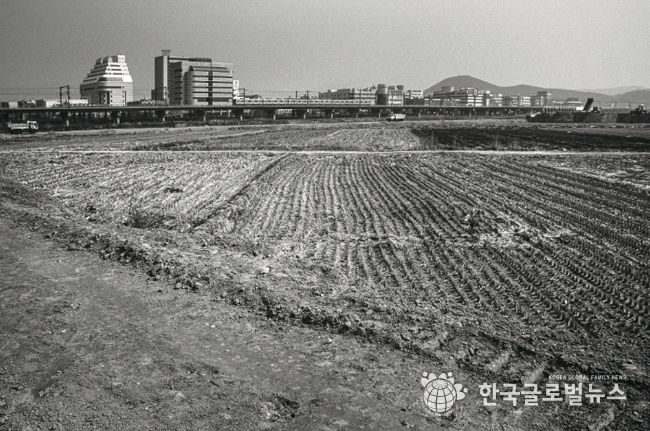 1995년도 고잔뜰 전경, 현재는 고잔신도시가 조성되어 아파트 단지로 변모했다.