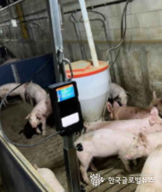 출하선별시스템