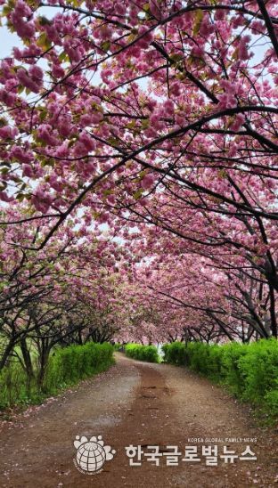 완산공원 꽃동산 방문객 맞이 채비 ‘착착’