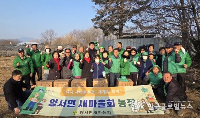 양서면 새마을회 감자심기 행사