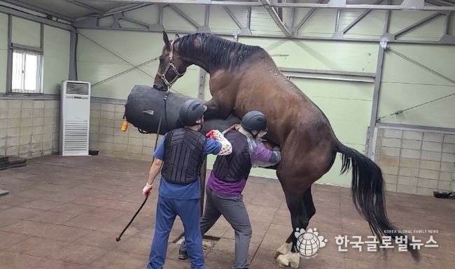 거점번식 지원사업 사진