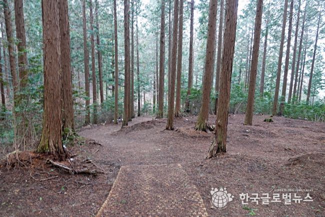 고창치유의숲(출처_마케팅센터)