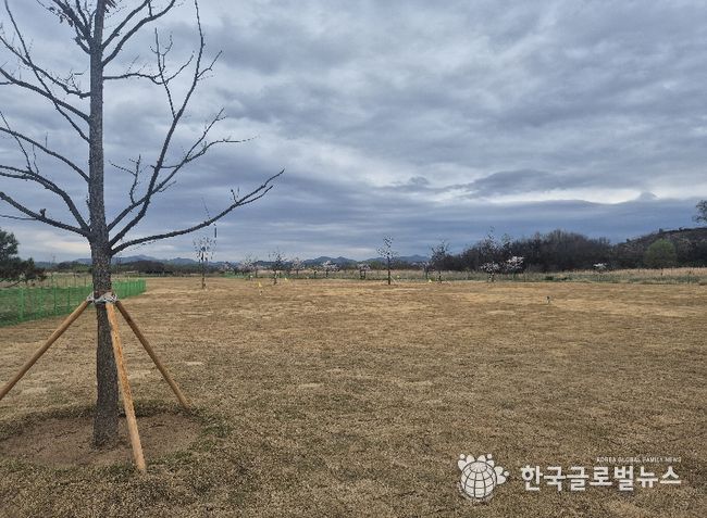 대산파크골프장 교육장 22홀 조성
