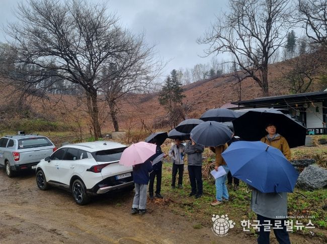 소나무재선충병 방제 품질향상을 위한 현장 컨설팅 실시